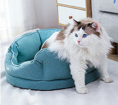 cat bed for big cats