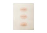 53.6g 3D Lip Permanent Makeup Practice Skin 19.1*14.2*0.15cm