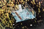 Luminous Green Aesthetic Desk Organizer , Clear Cosmetic Storage Organizer