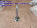 YUCHAI exhaust valve 4110000560144, yuchai engine spare parts for wheel loader