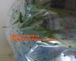 Transparent Low Tunnel Film Perforated For Culture Of Seedling Maturing