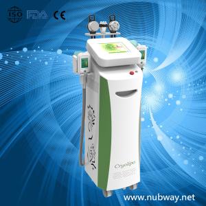 Wholesale Newest amazing result equipment cryolipolysis to lose weight from china suppliers