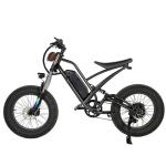 DOMANCA 750W High Speed Dirt Bike Off-road Fat Tire Ebike Customized E Bike