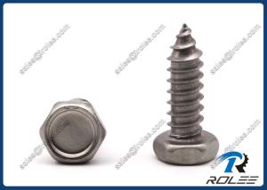 Wholesale 304/316/18-8 Stainless Steel Indented Hex Head Self-tapping Sheet Metal Screws from china suppliers
