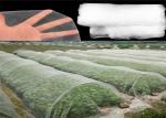 Anti-Insect, Anti -Hail Mesh Netting, Agriculture, Crop Cover Netting, Fruit