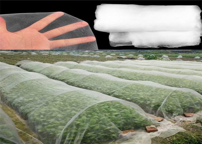 Professional Insect Mesh Netting 1-10 M Width For Greenhouse Covering