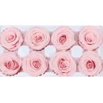 Pliability Maintaining Preserved Rose Heads Excellent Flowers Eternity
