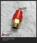 10KG Air Compressor Air Tank Safety Valve For Air Suspension System
