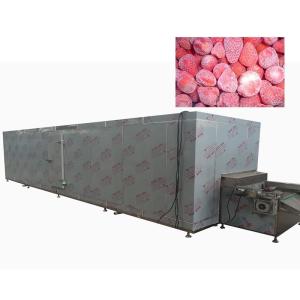 Wholesale Continuous Air Cooled Fruit Food Freezing Machine 1800KG/H from china suppliers