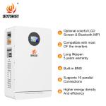 10.24kwh 51.2V 200Ah Home Energy Storage Battery with Capacity Lithium Ion