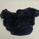 Dark Blue SMS Women's Disposable Underwear
