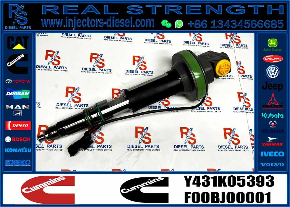 Y431KO5393 Diesel QSK19 Engine Common Rail Fuel Injector 4955524 2867149 4955527 2882079 4964173