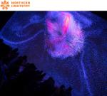 Immersive Projector 360 Projections Of Artworks Events Display Immersive