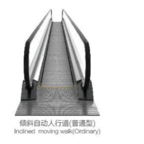 Wholesale SUPERMARKET GYG ELEVATOR , INCLINED MOVING WALKWAY from china suppliers