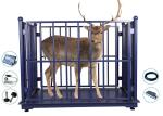 ZEMIC 5000KG Horse Weighing Scales Dustproof With Locks