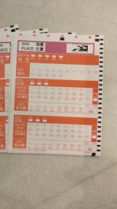 Wholesale Paper Lottery Ticket Pape Horse Racing Secure Custom Event Ticket Printing from china suppliers