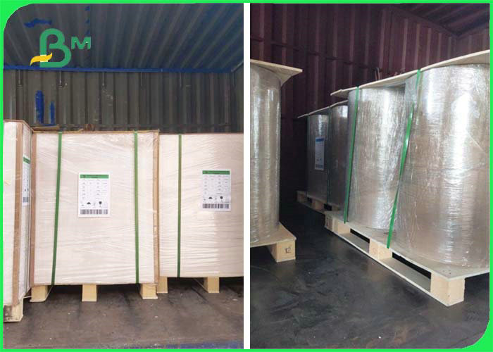 Good Stiffness 140gsm 170gsm Coated White Top & Uncoated Liner Paper For Cartons