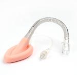 Anaesthesia Reinforced Laryngeal Airway