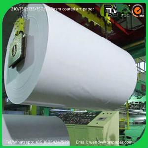 Wholesale Roll for Typek 80gsm A4 Bond Paper from china suppliers