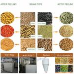 ISO Dry Bean Almond Peeling Machine 1000kg/H Broad Bean Peeling Machine