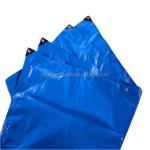 Blue Poly Tarp for Outdoor Protection Width 2-12m 80gsm-200gsm Waterproof HDPE