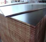 Hardwood Construction External Ply Sheets / First Class Grade Film Faced Marine