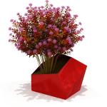 ISO14001 Certificate Decorative Metal Flower Pots