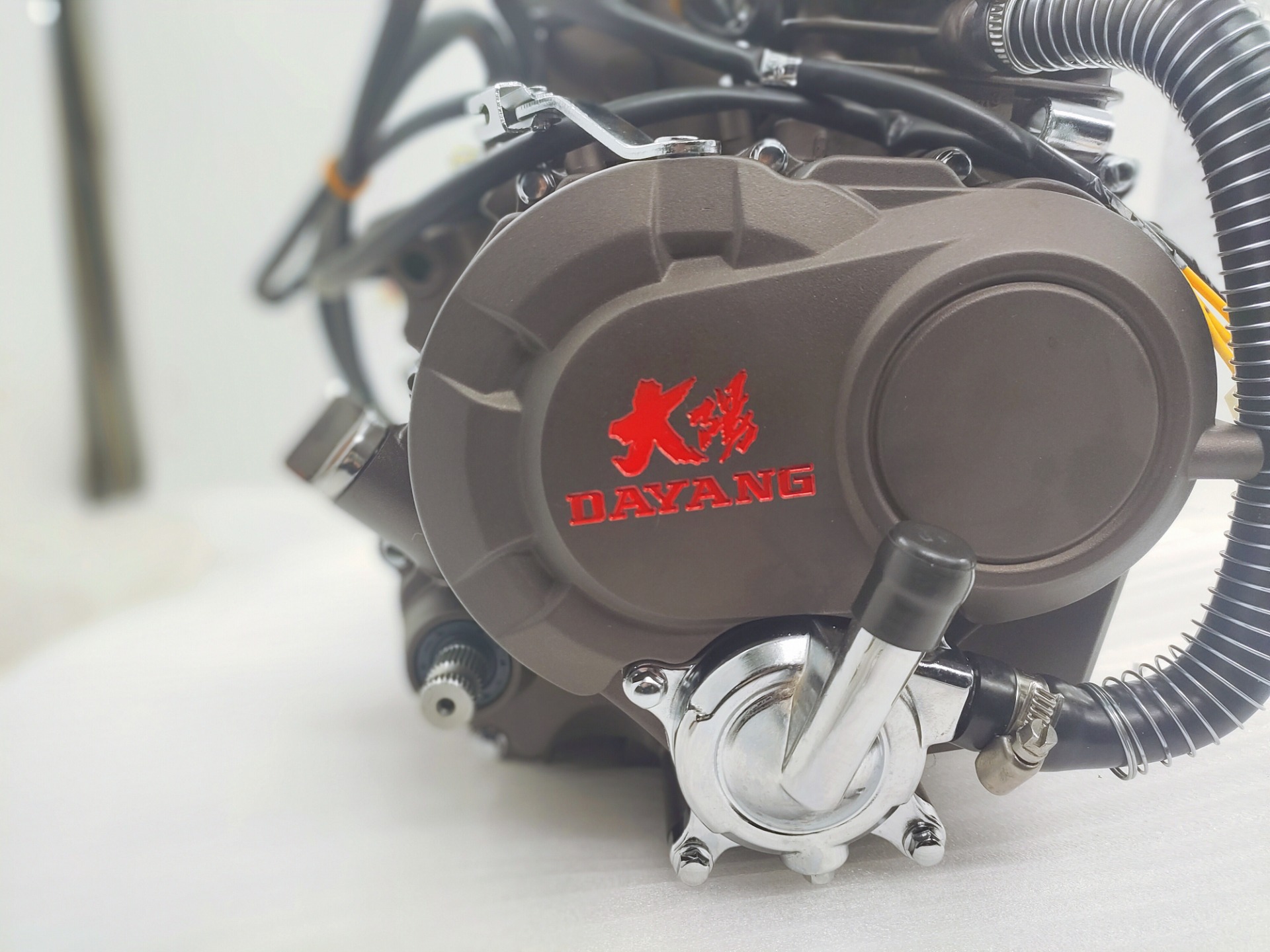 Max.Power 10.2/8000 Gasoline Tricycle Engines Assembly from DAYANG for Chinese Motorcycles