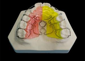 Wholesale Custom Made Orthodontic Removable Appliances , Adjustable Expander Orthodontics from china suppliers