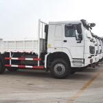 Sinotruk HOWO Light Duty 4x2 Heavy Cargo Truck 290HP Box Truck Lorry Van Goods