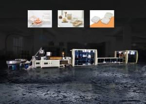 Wholesale PBAT PLA Burger Box Making Machine Manufacturers Novel from china suppliers