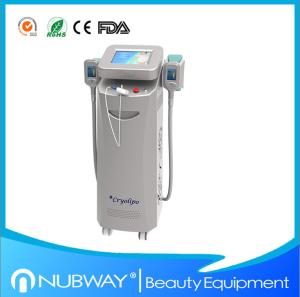 Wholesale Beauty Weight Loss Machine 2 handles Fat Freezing Cryolipolysis Slimming Machine for Spa from china suppliers