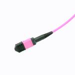 24F 40G Male OM4 MPO cable
