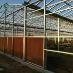Layer Commercial Garden Clear 12m Flower PC Sheet Greenhouse