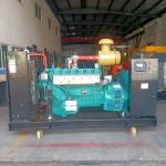 Natural/Biogas/LPG Gas Turbine Generator 10kw/15kw/20kw/30kw/50kw/100kw Speed