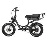 Rear Carrier Battery Position Fat Tire Dual Electric Cycle E-Bike for Adult City