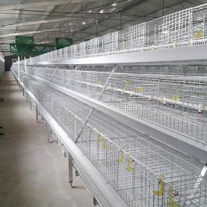 Wholesale Corrosion Resistant Poultry Layer Cage , Durable Ground Bird Feeder Cage from china suppliers