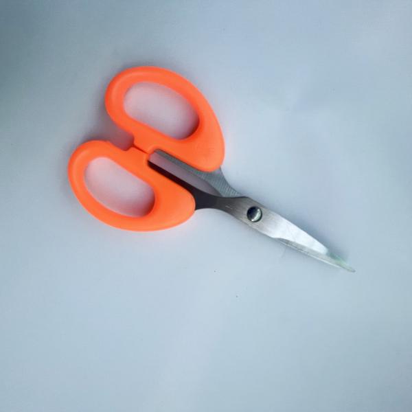 Plastic Handle Stainless Steel Paper Cutting Office Tailor Scissors For Kitchen In School
