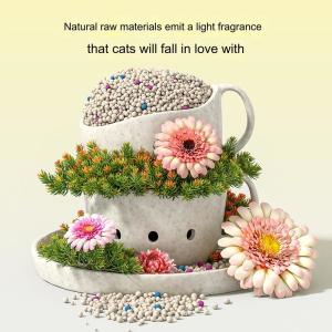 Wholesale Eco Friendly Bentonite Cat Litter Pet Suppliers Dust Free Bulk Ball Shape Clumping from china suppliers