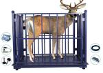 Digital Zemic LCD Cattle Weighing Scales Stainless Steel