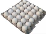 Recycled Paper Egg Tray Making Machinery