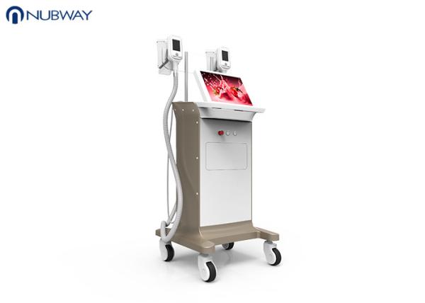 -15oC low temperature cool sculpting cryoliplysis body slimming weight loss