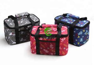 Wholesale Small Oxford Kids / Baby Thermal Bag Portable Outdoor Shoulder Cooler Bag from china suppliers