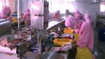 sardine processing fish skin peeling machine tilapia squid skin peeling machine