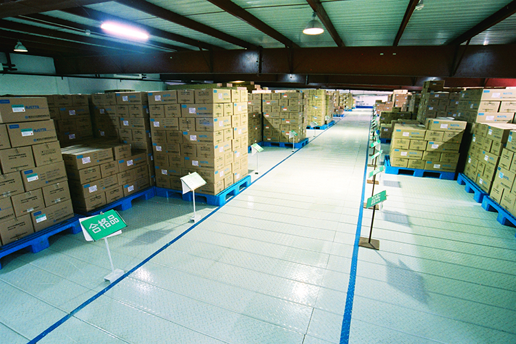 Customized Width and Depth 500kg Load Mezzanine Floor with Solid or Perforated Surface