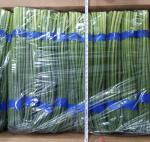 FDA 32cm Length A Grade Green Garlic Shoot Dia 0.9cm