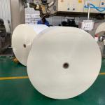 Food Grade Recyclable 250gsm PE Coated Cup Raw Material Kraft Paper Rolls For