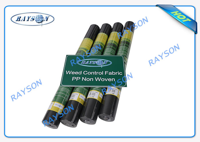 Agrotextile PP Spunbond Agriculture Non Woven Cover With UV Protection