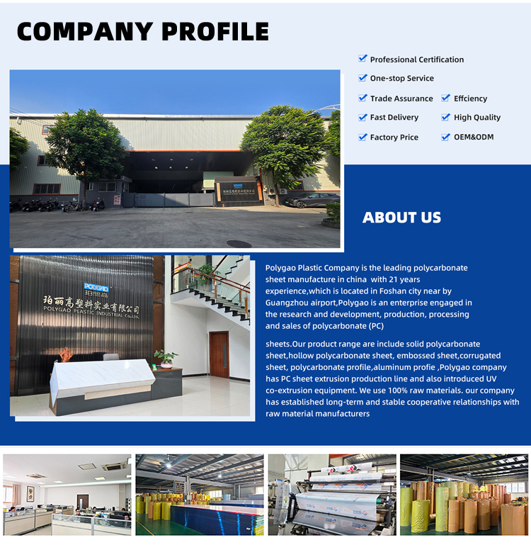 100% Virgin Polycarbonate 12mm Thick Polycarbonate Sheet Roll with Composite Co Extrusion Coating and 4mm Solid Polycarbonate