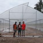 Tropical Top Cross Vent Agricultural Sawtooth Greenhouse Plastic Film Covered